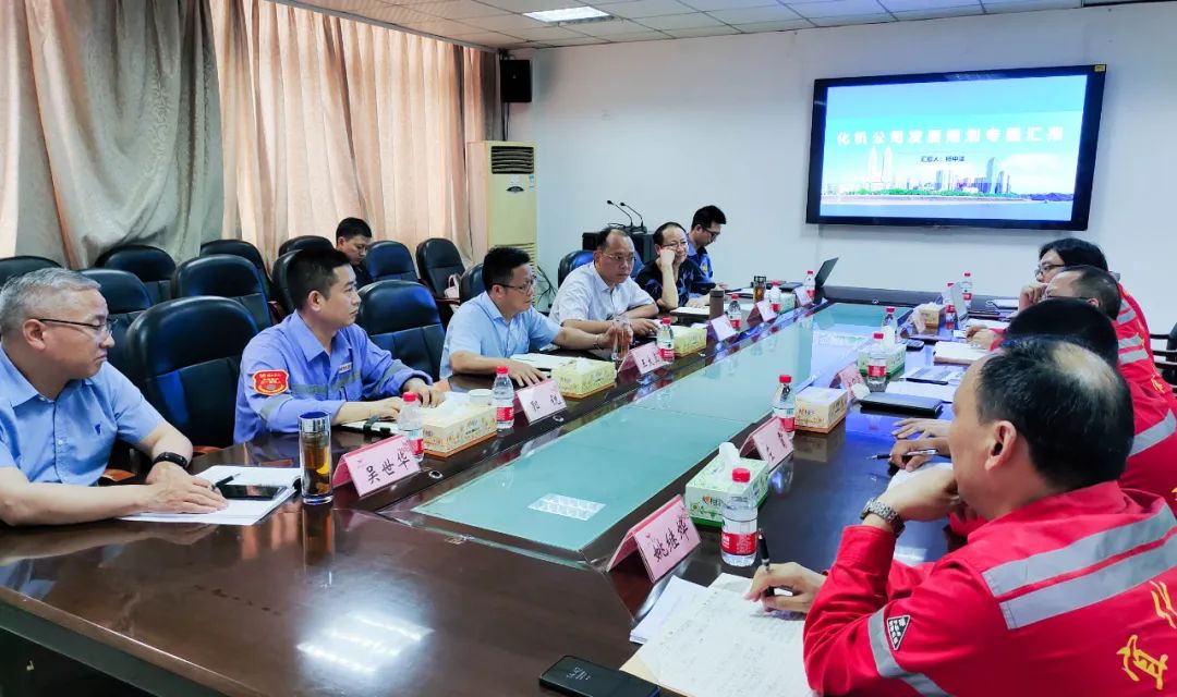 王大真一行到股份公司、化機公司現(xiàn)場辦公